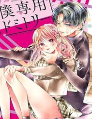 Căn Ký Túc Xá Của Riêng Tôi đọc online