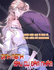 Định Mệnh Sau Cú Đấm Nhầm đọc online